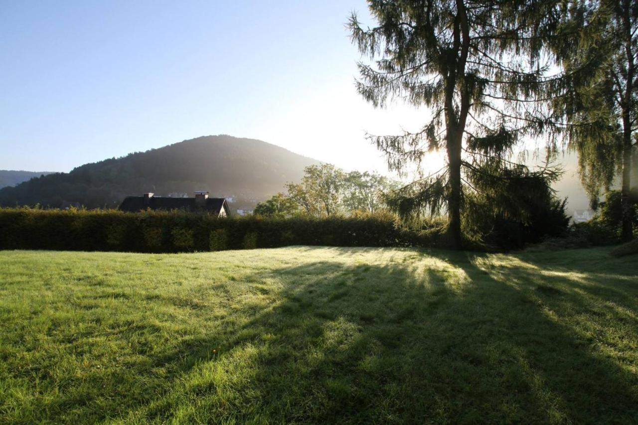 Welcome In - Met Terras - Burgstrasse 15-b, Winterberg-silbach Apartment